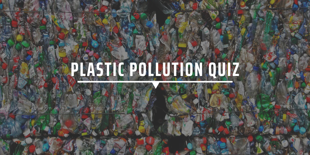 Plastic Pollution Quiz Gvi Can